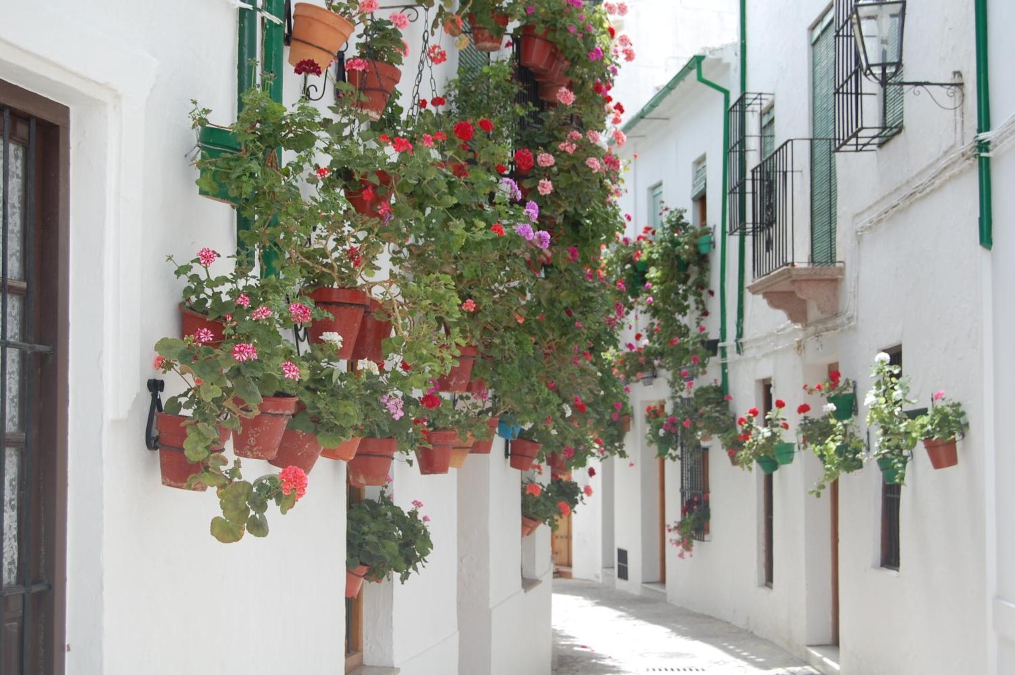 Casa Banos De La Villa Priego De Cordoba Ngoại thất bức ảnh